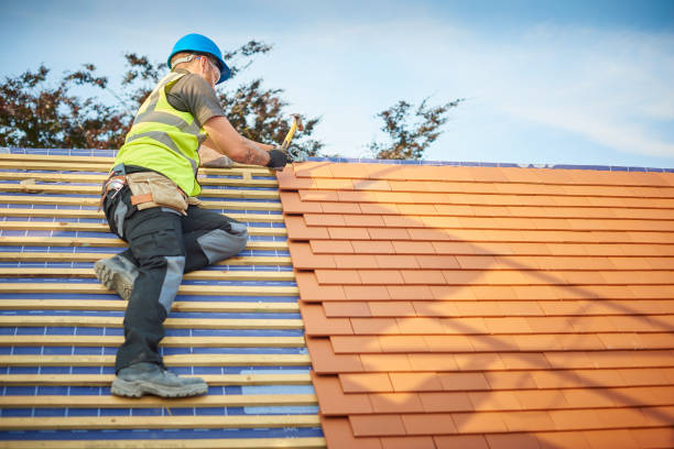 Best Roof Ventilation Installation  in Estelle, LA